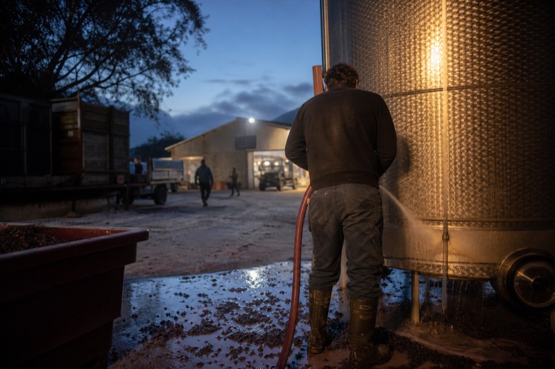 Private Customized Willamette Valley Wine Maker Tour