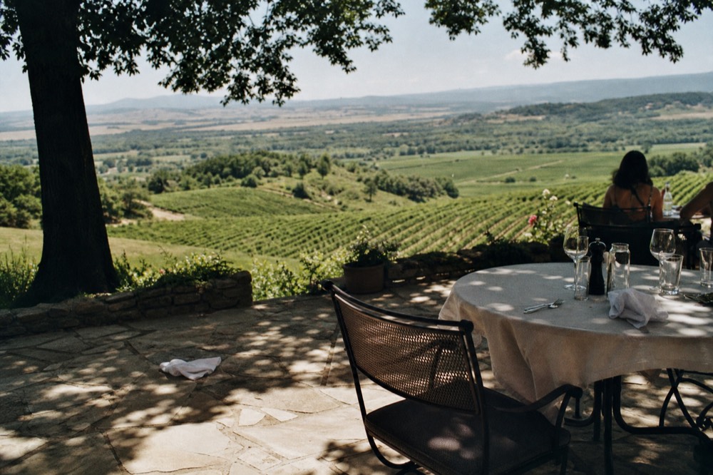 Visitors' view across a valley of vineyard rows from a hilltop tasting terrace
