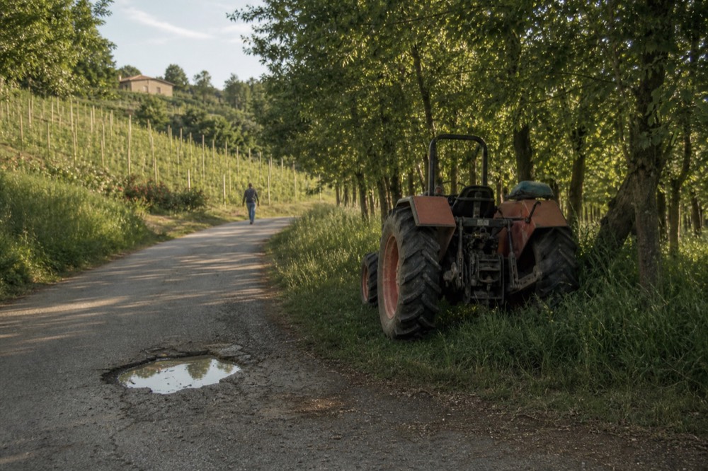 A winding country road through vineyards and hazelnut orchards toward distant forested hills