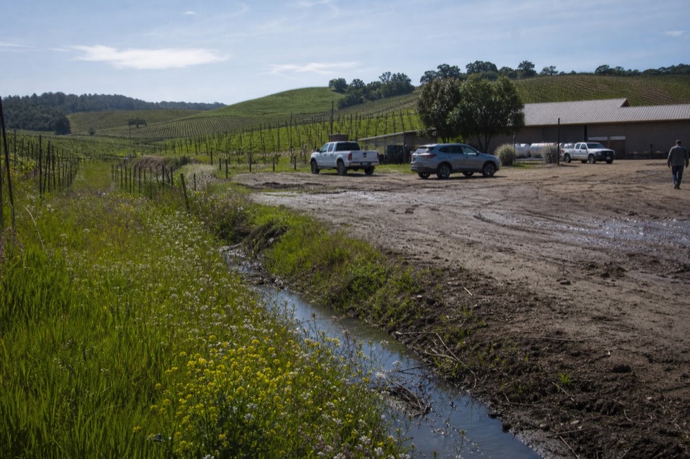 Rolling vineyard slopes in the Willamette Valley with a winery building in the distance