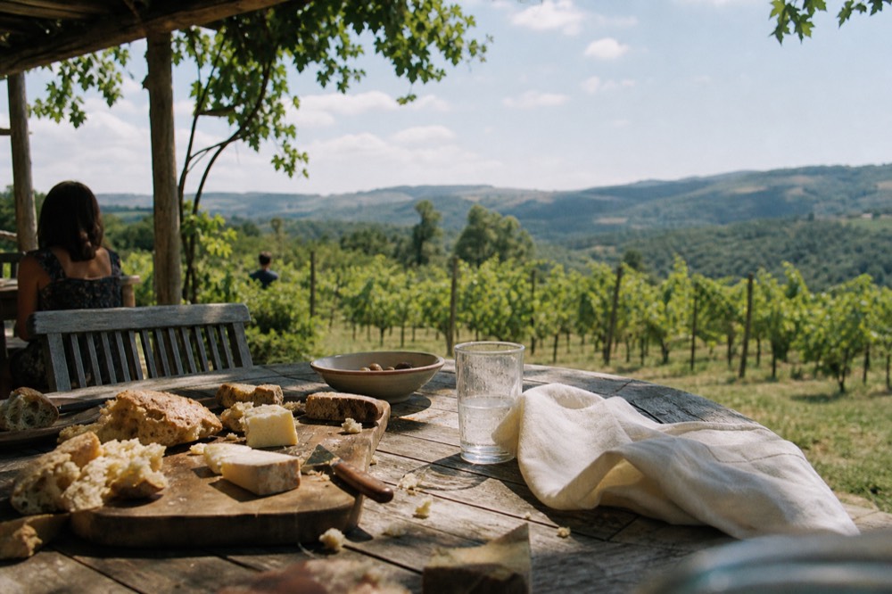 A winery picnic table set with a lunch spread overlooking vines