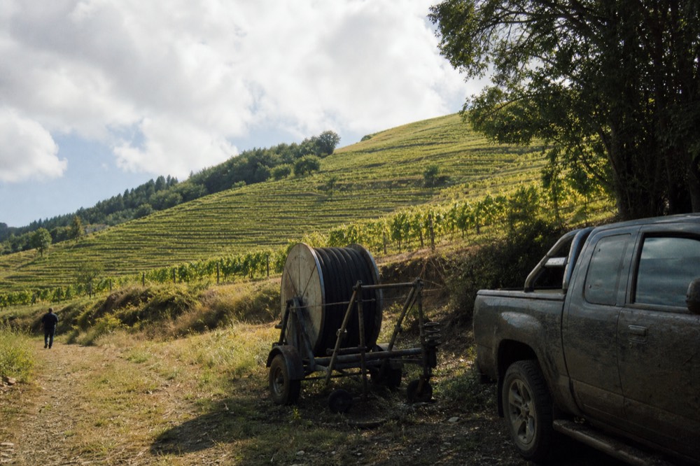 Terraced vineyard rows climbing a hillside across several named wine regions
