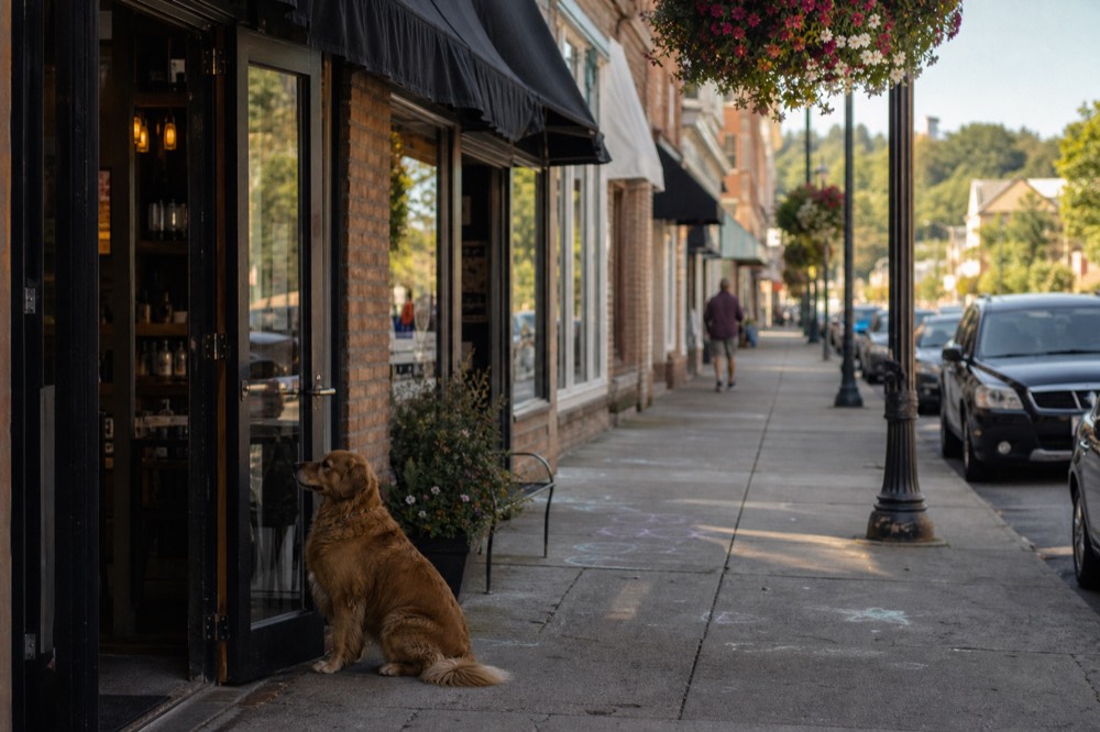 Downtown McMinnville street with storefronts and wine tasting rooms