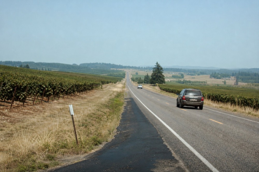 A two-lane country highway with vineyards on both shoulders in Yamhill County