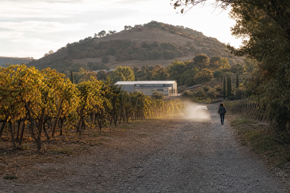Country road leading toward a winery building with a low hill behind it